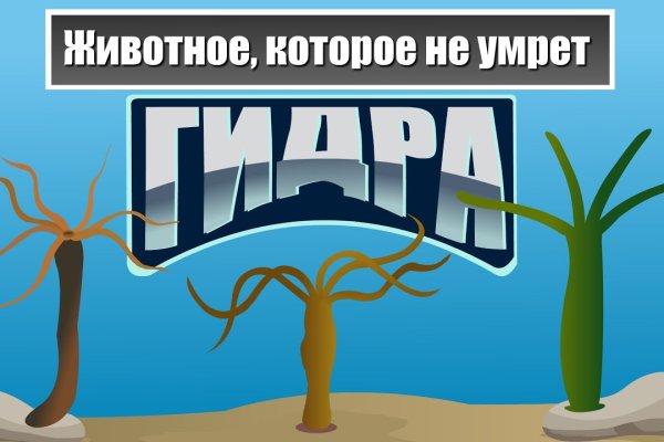 Омг омг ссылка телеграм